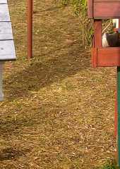 IMG-20250307-WA0003