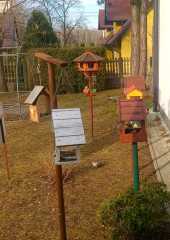 IMG-20250307-WA0004