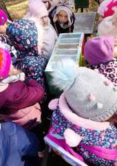 IMG-20250318-WA0091