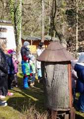 IMG-20250318-WA0095