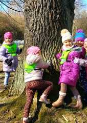 IMG-20250318-WA0104