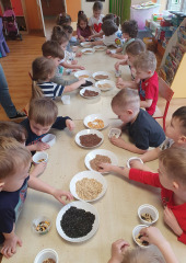 644208432_1408286361096308_1302742634190836374_n