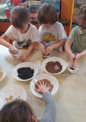 645448143_1408286237762987_5645838506860034302_n