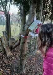 IMG-20251218-WA0004