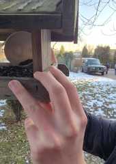 IMG-20260120-WA0001