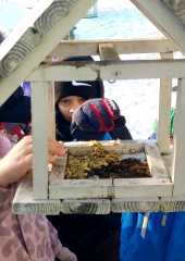 IMG-20260109-WA0010