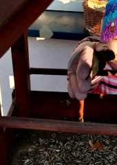 IMG-20260109-WA0013