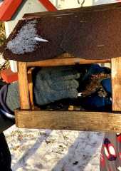IMG-20260109-WA0015