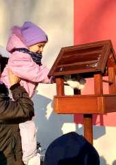 IMG-20260109-WA0018