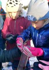 IMG-20260109-WA0024