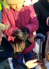 IMG-20260109-WA0025