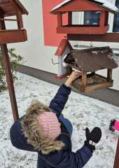 IMG-20260116-WA0004
