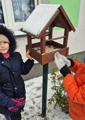 IMG-20260116-WA0007