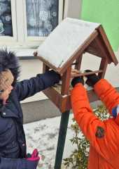 IMG-20260116-WA0008