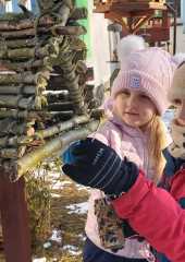 IMG-20260120-WA0014