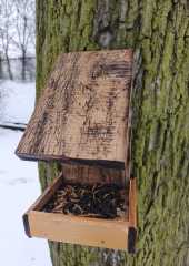 IMG-20260115-WA0018