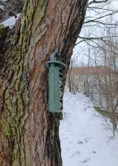 IMG-20260115-WA0019