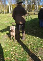 FB_IMG_1669140487602