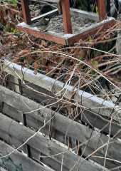 IMG-20211227-WA0005