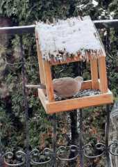 IMG-20211227-WA0007