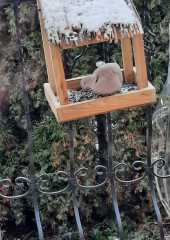 IMG-20211227-WA0008