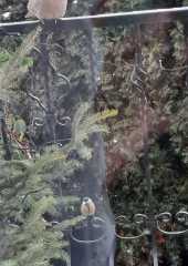 IMG-20211227-WA0009