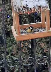 IMG-20211228-WA0006
