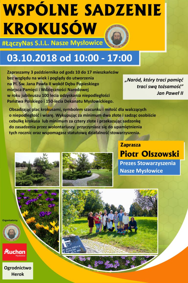 Wspólne sadzenie krokusów