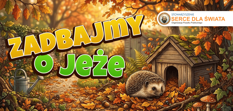 WRZESIEŃ TO DOSKONAŁY CZAS, ABY ZADBAĆ O JEŻE!