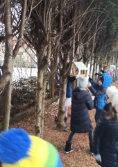IMG_20230208_120306