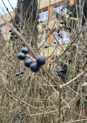 624689201_1343078160958352_3189647391651960764_n