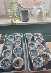 FB_IMG_1770196722919