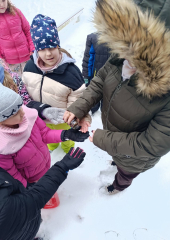 FB_IMG_1768305504320