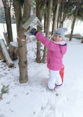 FB_IMG_1768305508401