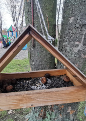 597509789_1411595657423797_4608479194654471200_n