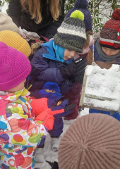 615166082_1440302717886424_3343728254459090475_n