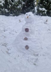 616397334_1440303037886392_2871334803451299579_n