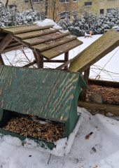 615352477_1703253310803837_7157262205165990705_n