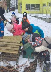 616087577_1703262664136235_4895511027674495560_n