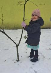 616398871_1703262734136228_6554352577872445258_n