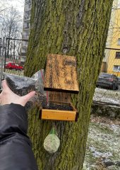 631392883_1505086214956416_4085400340591585693_n