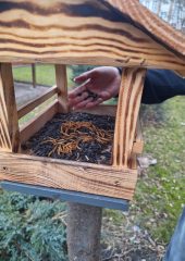 631761543_1505086221623082_8736771432485220982_n