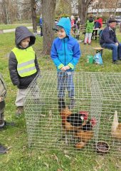 672671782_1785734292555738_2847819524274244416_n