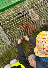 672680414_1785733979222436_244113628325481431_n