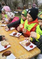 b4ecd0c9-6d08-44da-ae08-14de19abb165