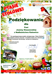 J-Staszewska-20260409_10402077-1