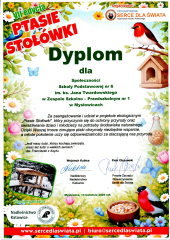 SP-6-20260409_10370154-1