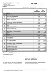 BalanceSheet201726010-page-001